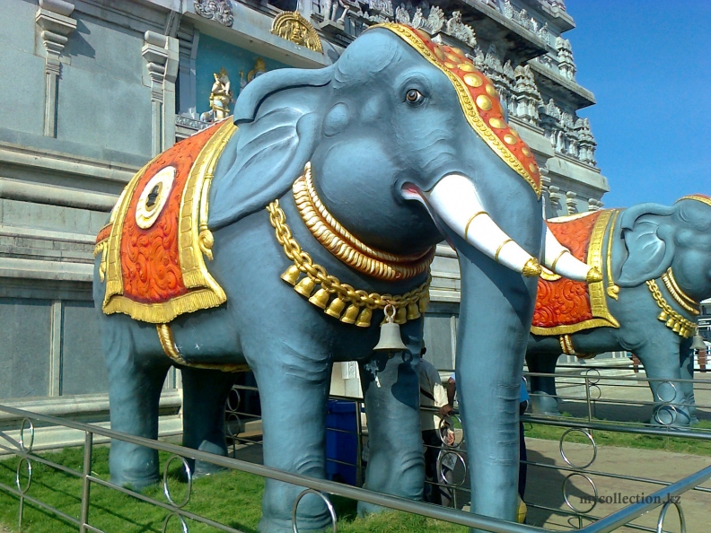 Karnataka Murudeshwar - elephant - Слоны у входа в храмовый комплекс.jpg