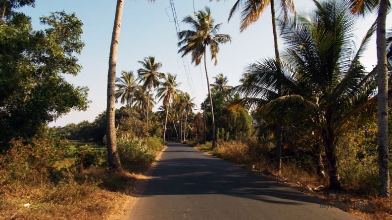 Goan road.jpg