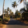Goan road.jpg