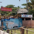 India - Kerala - Varkala - Papanasam - Surf  school - 2014 - Школа серфинга - Варкала - Папанасам.jpg