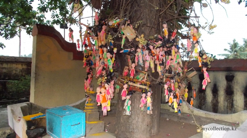Janardhana Swami Temple - Священное дерево с куколками.JPG