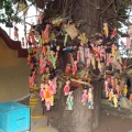 Священное дерево с куклами