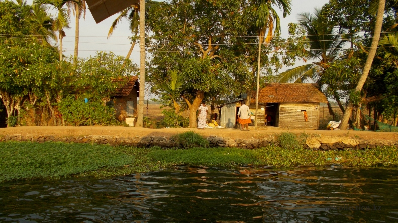 India 2014 - Kerala backwaters - Alleppey - Alappuzha - Хижины на берегу каналов.jpg