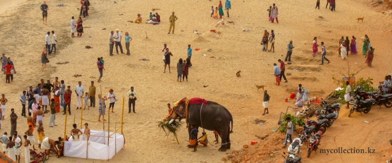 elephant on the papanasam beach.JPG