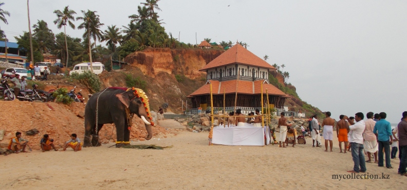 India 2014 -  Kerala - Puja ritual on Papanasam beach - elephant.jpg