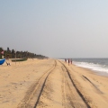India - Kerala - Marari Beach - 2019  - Пляж Марарикулам.jpg