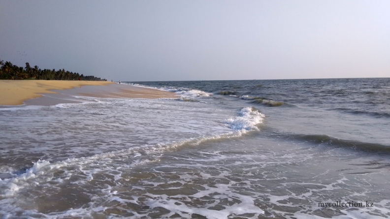 India 2019 - Kerala - Mararikulam beach .jpg