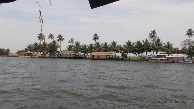 India  Kerala  Alleppey 2014 - Moored houseboats.jpg