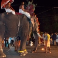 По улицам слона водили