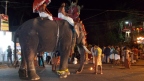По улицам слона водили