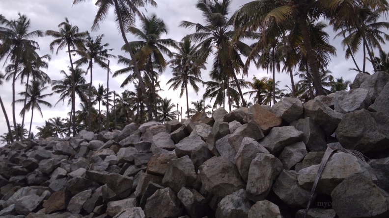 Varkala 2017 - Stones and palm trees on the Black Beach.jpg