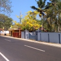 In the village of Mararikulam