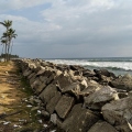 India - Kerala state - Kappil Beach - Thiruvananthapuram.jpg